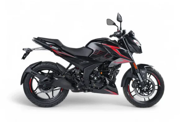BAJAJ ROUSER N250 - Imagen 3