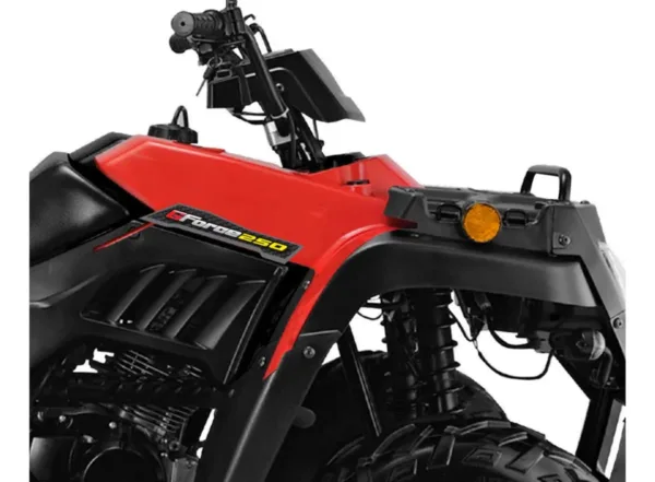 ZANELLA GFORCE 250 - Imagen 4