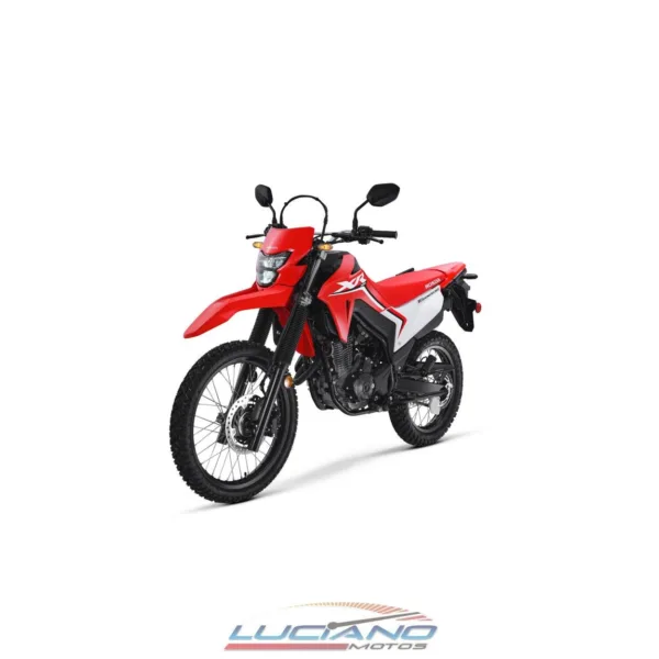 Honda XR 300 - Imagen 13