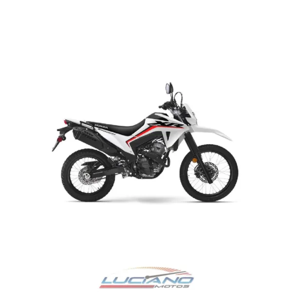 Honda XR 300 - Imagen 6