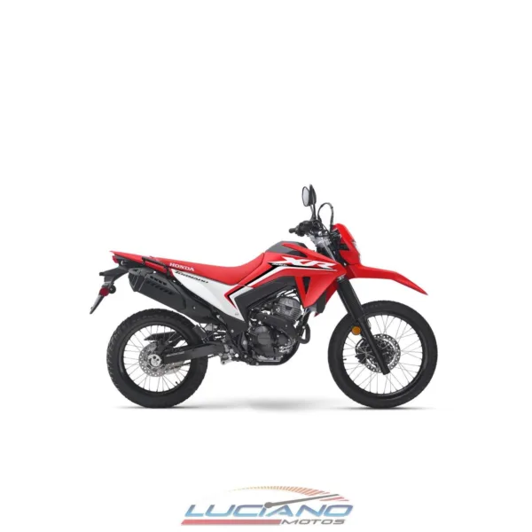 Honda XR 300 - Imagen 8