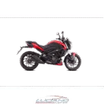 BAJAJ DOMINAR 250 - Imagen 3