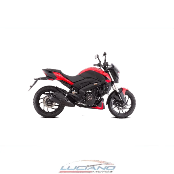 BAJAJ DOMINAR 250 - Imagen 3