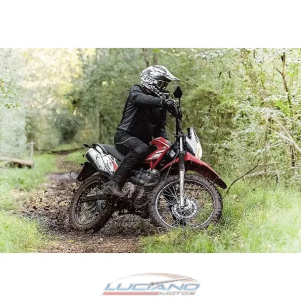 CORVEN TRIAX 150 - Imagen 8
