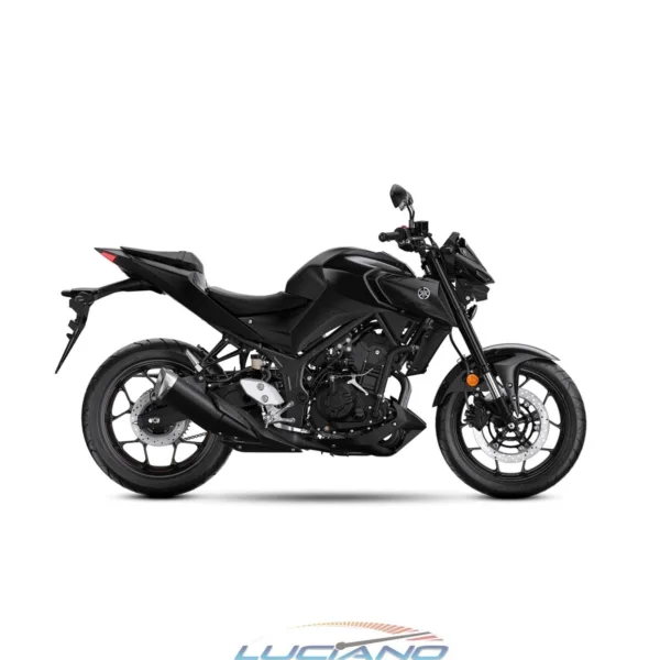 Yamaha MT 03 - Imagen 5