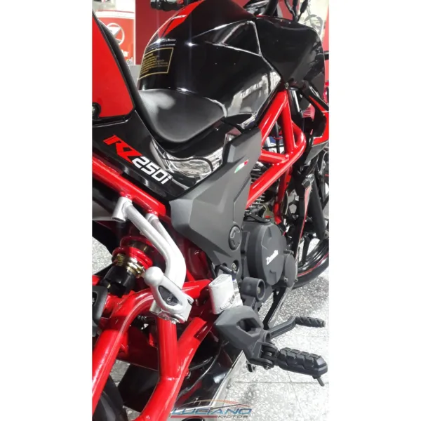 Zanella RZ 250 i - Imagen 3