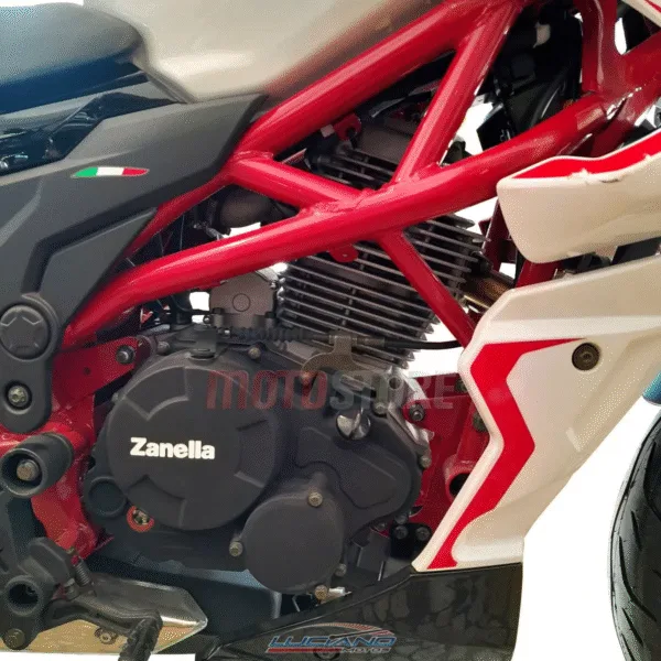 Zanella RZ 250 i - Imagen 12