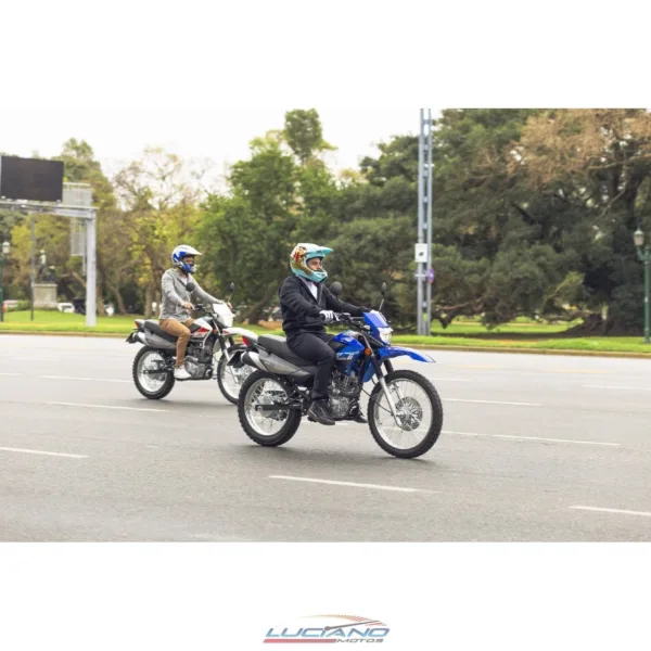 Zanella ZT 125 cc - Imagen 15